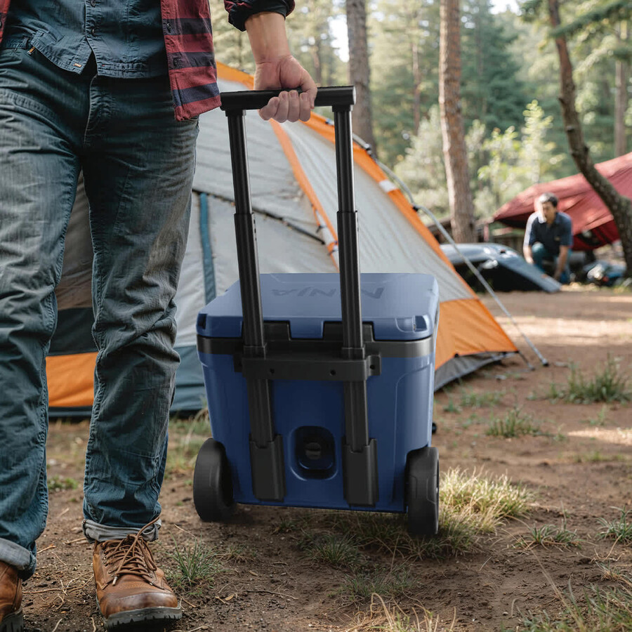 glacière à roulettes ninja frostvault 30qt28l avec zone sèche bleu lakeshore fb230ukbl