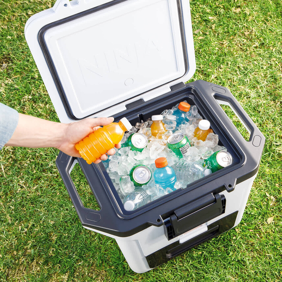 glacière à roulettes ninja frostvault 30qt28l avec zone sèche gris ardoise fb230ukgy