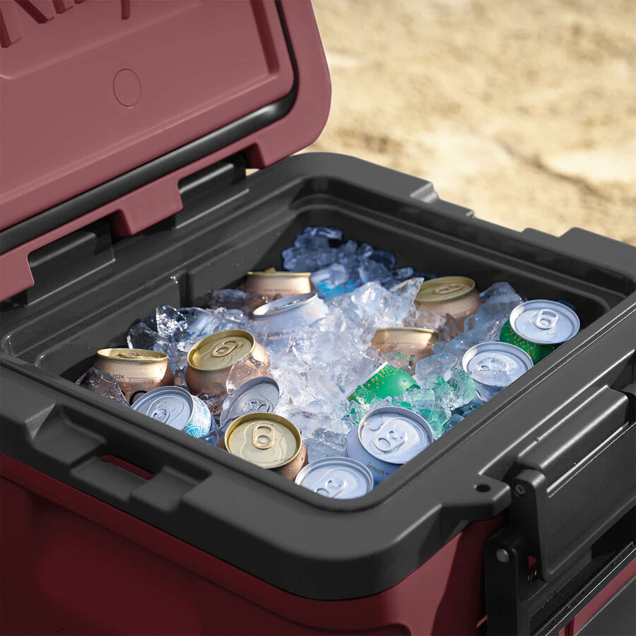 glacière à roulettes ninja frostvault 30qt28l avec zone sèche rouge canyon fb230ukmr