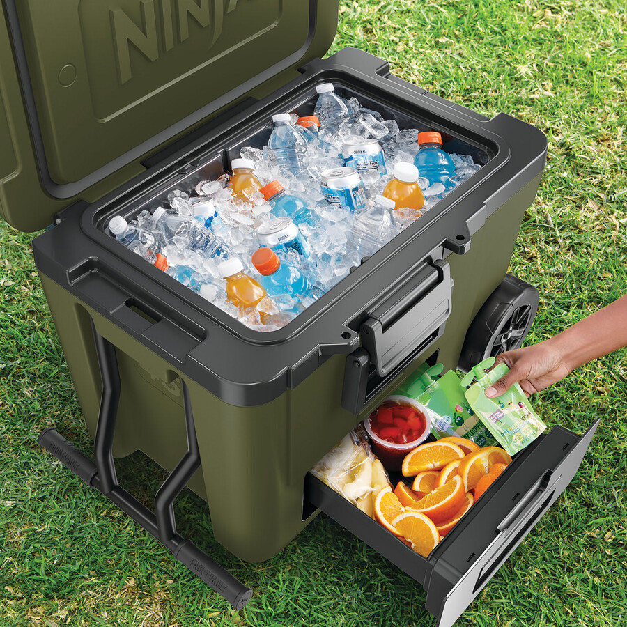 glacière à roulettes ninja frostvault 45qt42l avec zone sèche – olive fb245euukdbgn