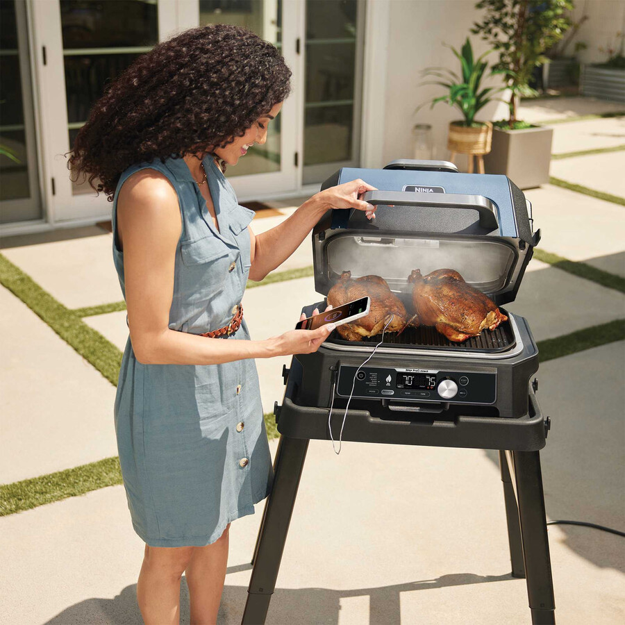 ensemble barbecue électrique ninja woodfire xl et glacière frostvault 47l