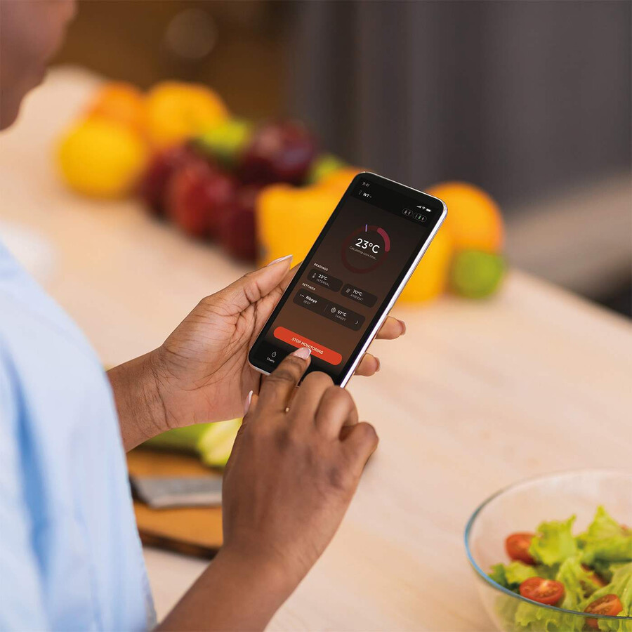 thermomètre sans fil ninja prochef wp100eu